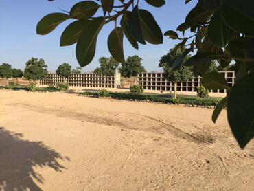 nichos cementerio mascotas elche